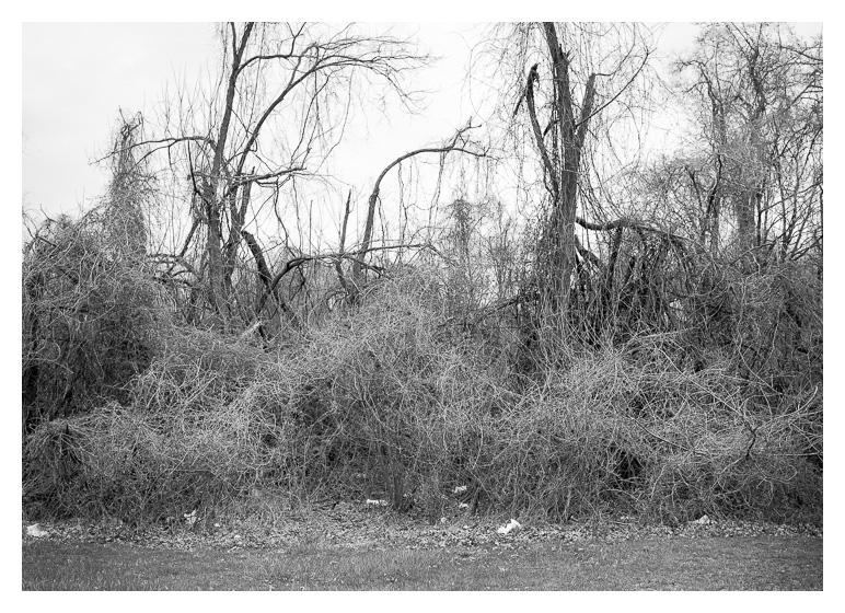 St. Peter and St. Paul